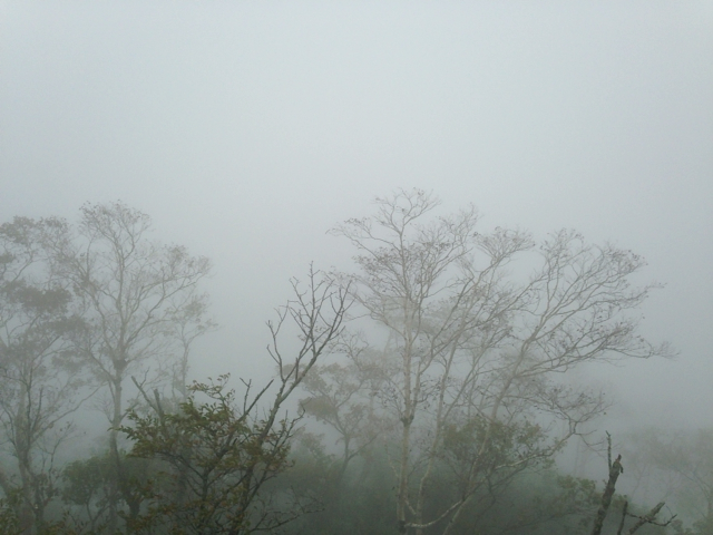 霧の「摩周湖」