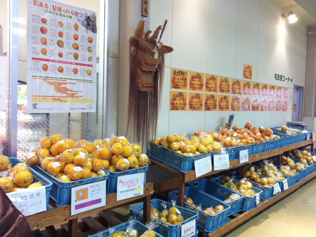 柑橘系の果物たち
