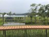 ウポポイ